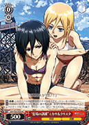 "Summer Training" Mikasa & Christa