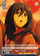 "A Chain of Tragedies" Mikasa