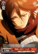 "Honor on the Battlefield" Mikasa