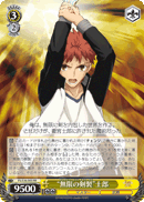 “Unlimited Blade Works” Shirou