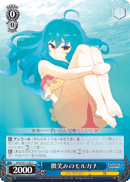 微笑みのモルガナ