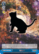 隊長!?
