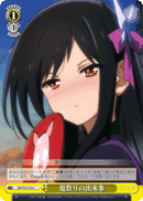 Incident at the Summer Festival