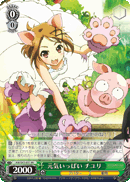 Full of Vigor, Chiyuri