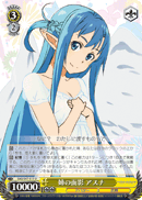 Vestige of an Elder Sister, Asuna