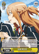 Asuna Yuuki