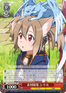 Gathering Materials, Silica