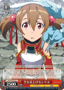 Silica Looking Up At the Sky