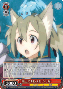 Fluffy on the Head, Silica