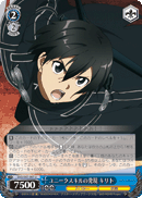 Kirito Discovers a Unique Skill
