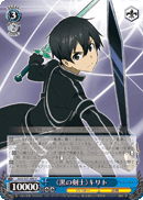 《Black Swordsman》 Kirito