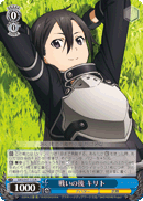 After the Battle, Kirito