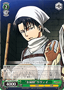 "Cleanup" Levi