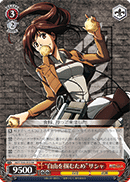 "To Seize Freedom" Sasha