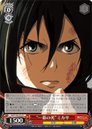 "Single Ray of Light" Mikasa