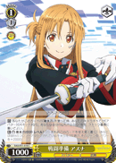 Prepared for Battle, Asuna