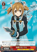 Silica On Guard