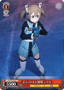 Taking On the Boss Battle, Silica
