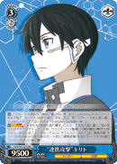 "Link Strike" Kirito