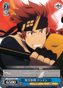 Urgent Participation in Battle, Klein