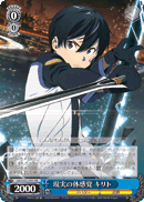 Real Physical Sensation, Kirito
