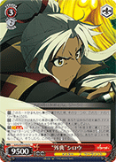 "Apocrypha" Shirou
