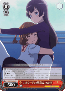Leotard Karen & Hikari