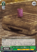 Lurking in a Suitcase LLENN