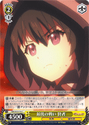 Final Battle, Female Sage