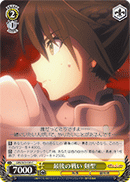 Final Battle, Female Swordmaster