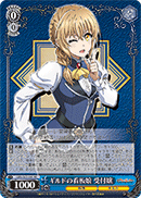 Guild's Poster Girl, Guild Girl