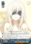 Translucent Skin, Sword Maiden