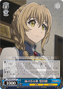 Unnoticed Beauty, Guild Girl