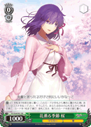 Spring Season, Sakura