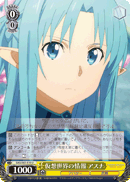 Information About the Virtual World, Asuna