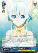 Information About the Virtual World, Sinon