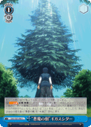 "The Demon Tree" Gigas Cedar