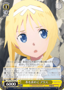Seeking Ice, Alice