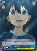 Seeking Ice, Kirito