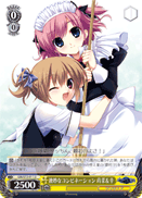 Superb Team, Makina & Sachi