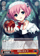 Fruit of Remorse, Sachi