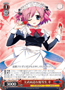 Skilled and Witty Honor Student, Sachi