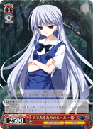 Rules to Stay Human, Kazuki