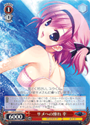 Admiration for Sharks, Sachi