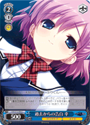 Confession From the Past, Sachi