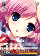 Winner's Reward, Sachi