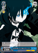 青き炎の瞳 ブラック★ロックシューター
Blue Flame Eyed Black★Rock Shooter