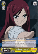 “悠遠の衣”エルザ