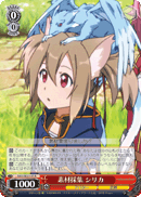 Gathering Materials, Silica