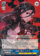 End of Fate, Kirito